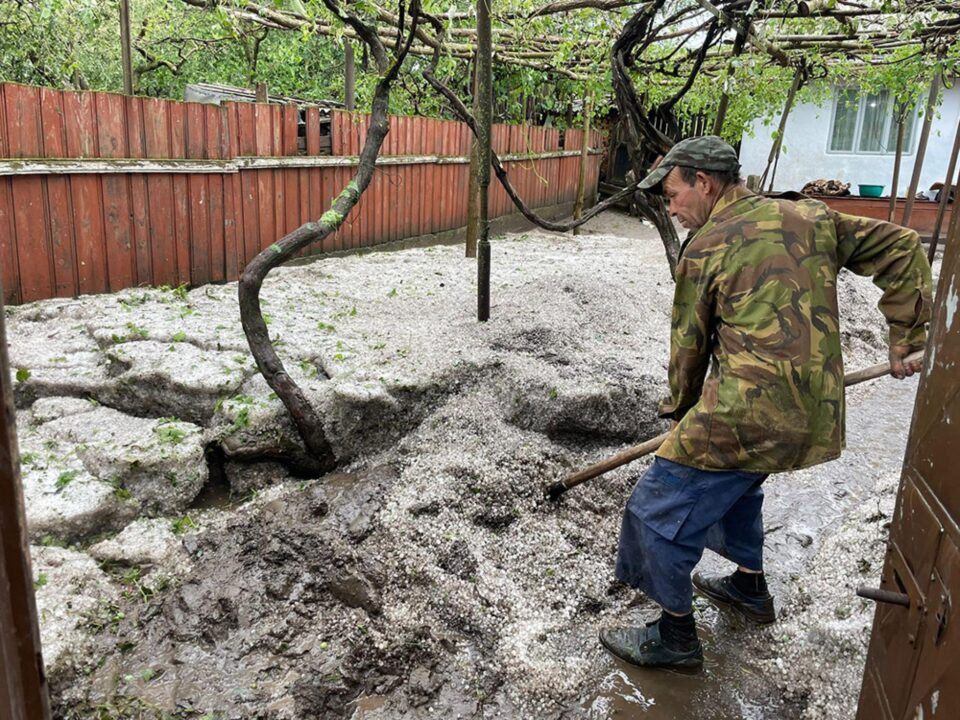 La Preutești a căzut gheață timp de jumătate de oră, gheață pe alocuri mai mare decât o nucă La Preutești a căzut gheață timp de jumătate de oră, gheață pe alocuri mai mare decât o nucă