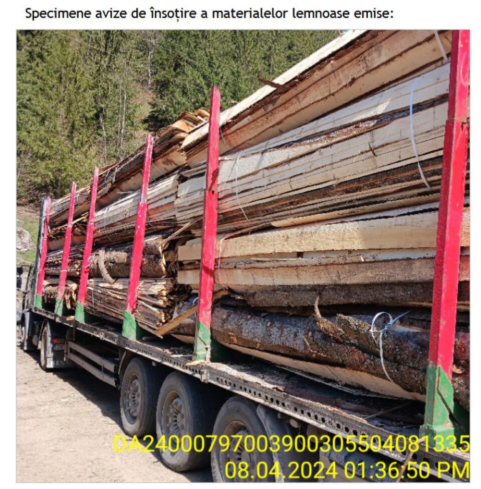 Sute de transporturi fictive de lemn, din Ungaria spre Broșteni, identificate în SUMAL de Garda Forestieră Suceava