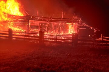 Incendiul de la Vicovu de Sus. Dezastrul ar fi fost provocat de rozătoare