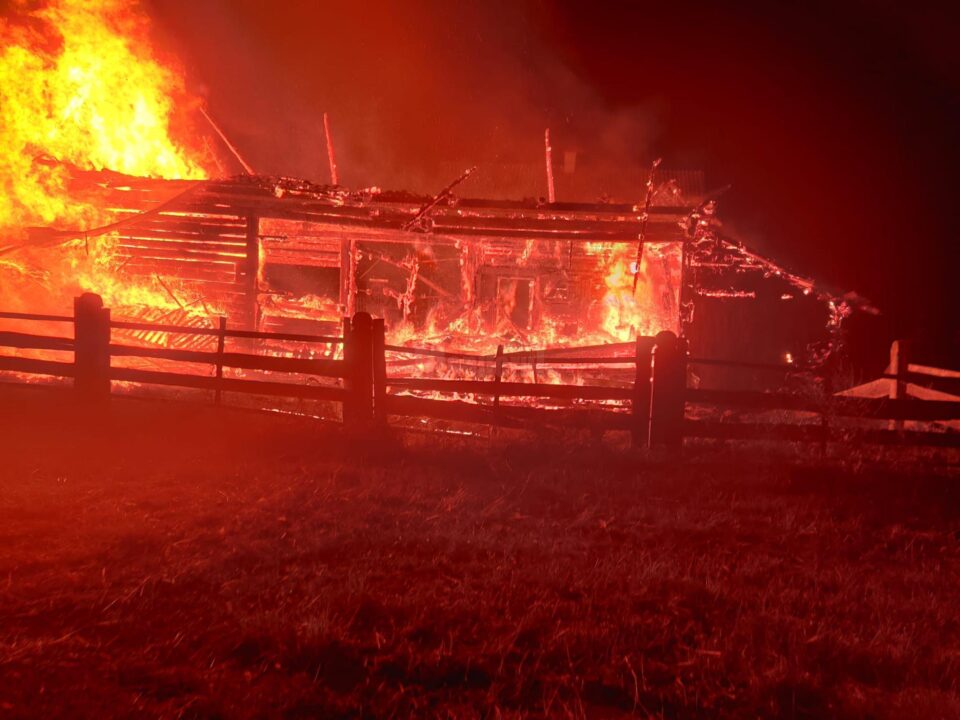 Incendiul de la Vicovu de Sus. Dezastrul ar fi fost provocat de rozătoare