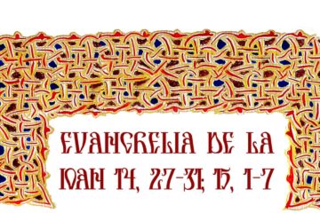 Evanghelia zilei