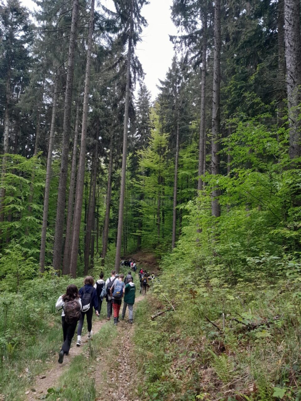 Tinerii voluntari ATOS au igienizat Via Transilvanica, de la Mănăstirea Putna la Mănăstirea Sucevița