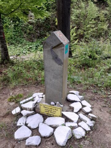 Tinerii voluntari ATOS au igienizat Via Transilvanica, de la Mănăstirea Putna la Mănăstirea Sucevița