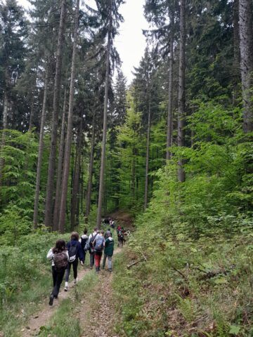 Tinerii voluntari ATOS au igienizat Via Transilvanica, de la Mănăstirea Putna la Mănăstirea Sucevița
