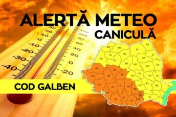 Cod galben de caniculă