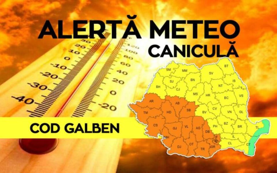 Cod galben de caniculă