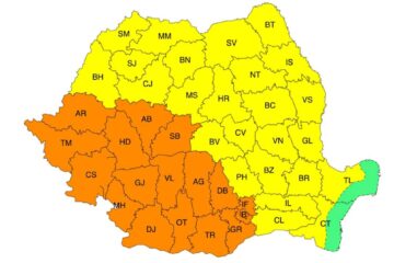Cod galben de caniculă