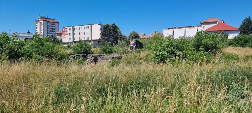 Ruinele Curții Domnești, sub buruieni