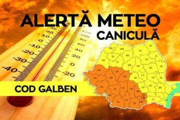Cod galben de caniculă
