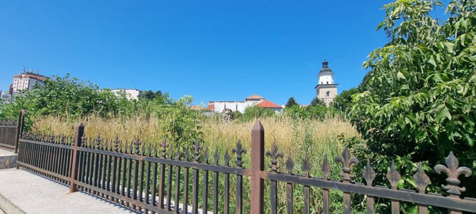 Ruinele Curții Domnești, sub buruieni