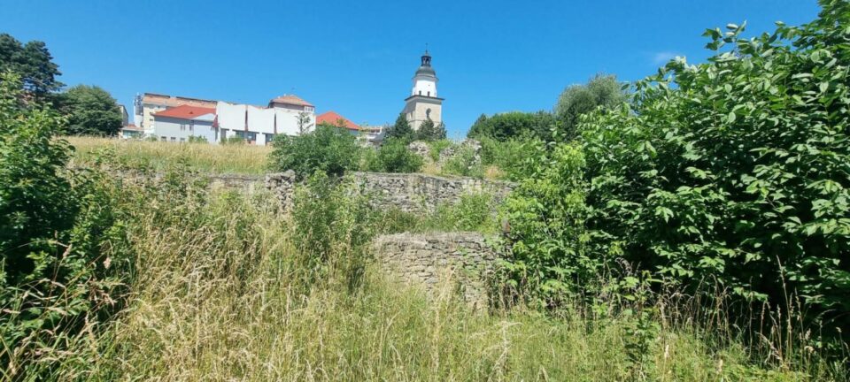 Ruinele Curții Domnești, sub buruieni