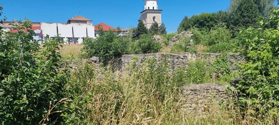 Ruinele Curții Domnești, sub buruieni