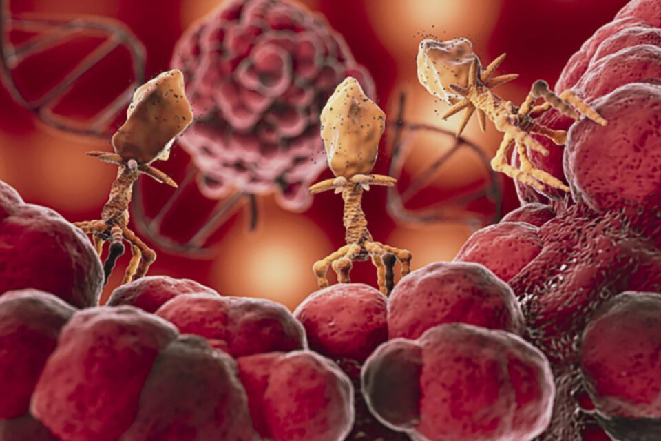 O nouă epidemie se răspândește în Europa, România fiind la fel de afectată – cea de tuse convulsivă O nouă epidemie se răspândește în Europa, România fiind la fel de afectată – cea de tuse convulsivă