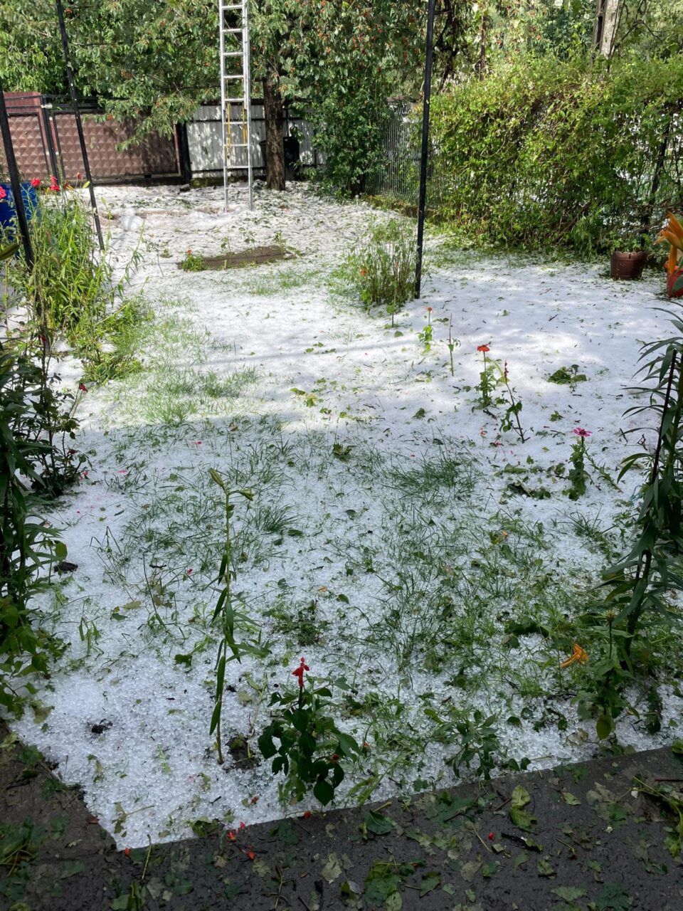 Comuna cea mai afectată de grindină este Preutești
