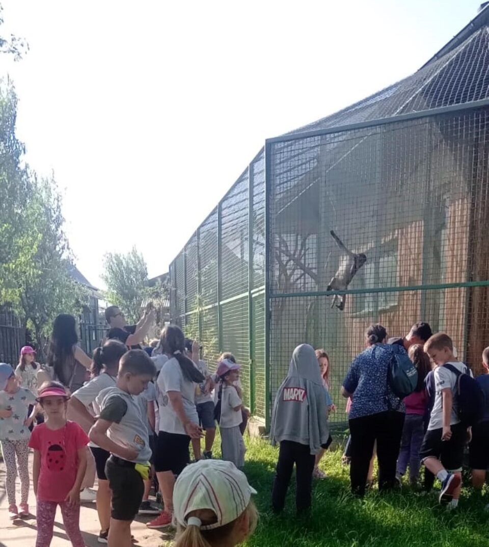 Arca lui Noe, noul colț zoologic deschis de Dorin Șoimaru la Zaharești