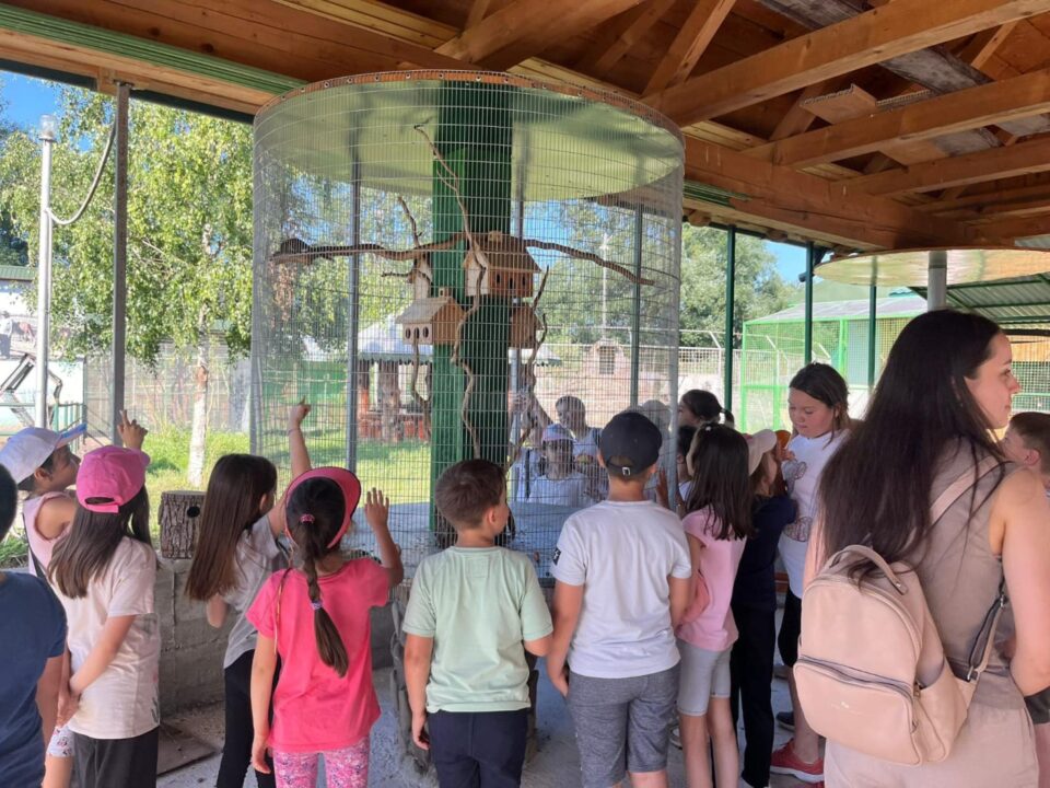 Arca lui Noe, noul colț zoologic deschis de Dorin Șoimaru la Zaharești