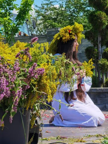 Festivalul „Regina Sânzienelor” - ediția a X-a, la Vicovu de Sus