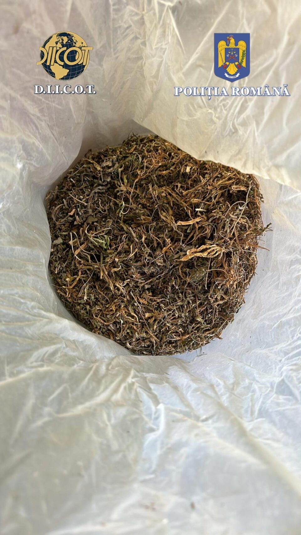 De la locuința suspectului au fost ridicate peste 4 kilograme canabis