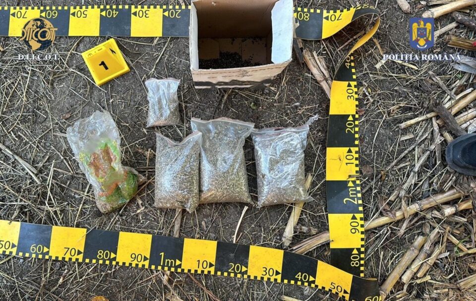 De la locuința suspectului au fost ridicate peste 4 kilograme canabis