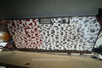 O femeie a încercat să introducă în țară țigări de contrabandă ascunse într-o ușă metalică