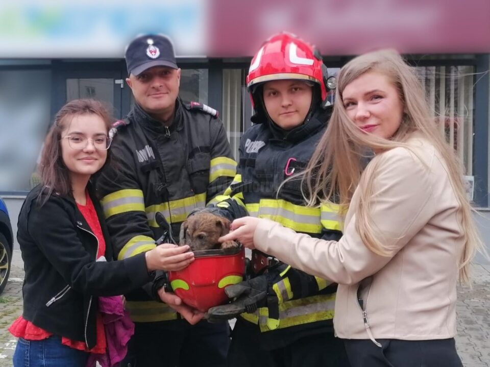 Cățeluș salvat de pompieri