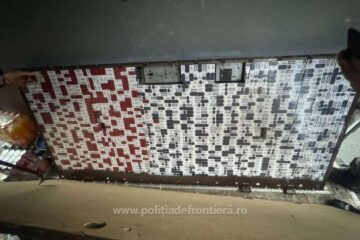 O femeie a încercat să introducă în țară țigări de contrabandă ascunse într-o ușă metalică
