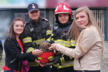 Cățelușul salvat de pompieri