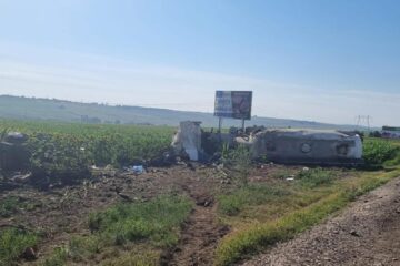 Cumplitul accident da la Cumpărătura