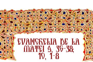 Evanghelia zilei