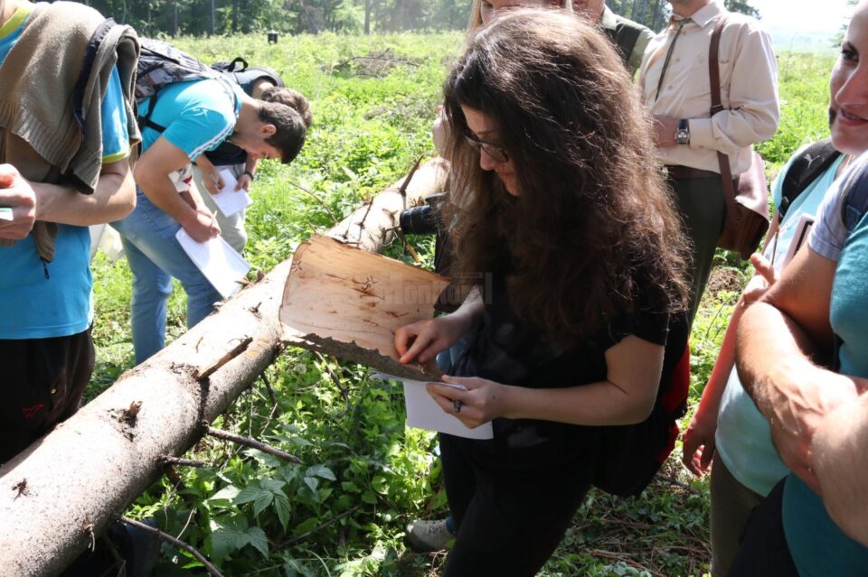 Implicare feminină in domeniul silvic, în cadrul proiectului Fem2forests