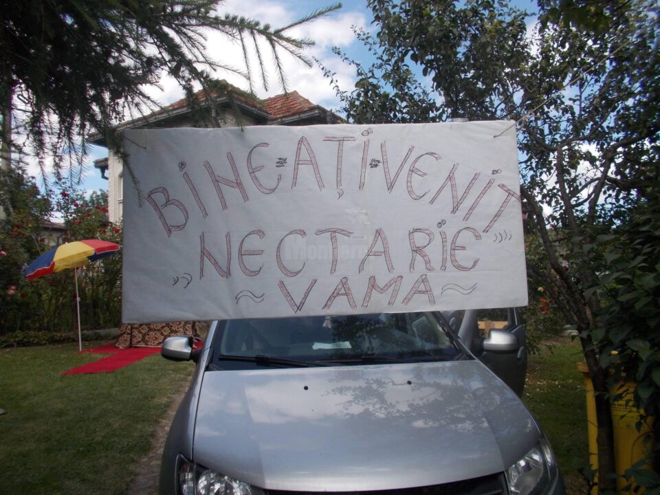 Poveste la firul ierbii