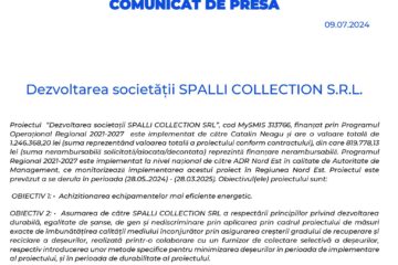 Dezvoltarea societății SPALLI COLLECTION S.R.L.