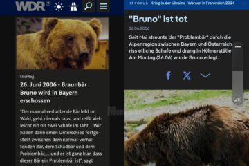 Presa din Germania, despre împușcarea ursului Bruno