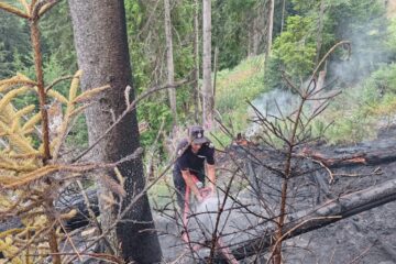Un incendiu de la trăsnet a pus în pericol pădurea, în zona de munte