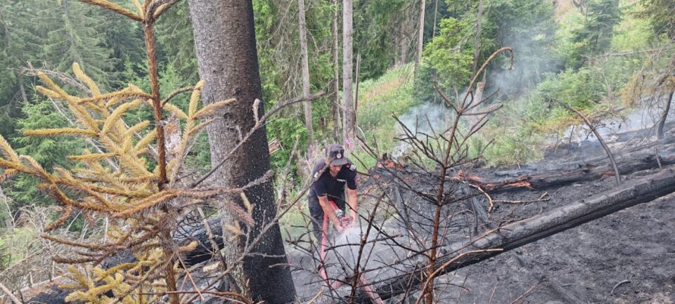 Pompierii militari au intervenit, marți, în fondul forestier de pe raza localității Dârmoxa - Broșteni Pompierii militari au intervenit, marți, în fondul forestier de pe raza localității Dârmoxa - Broșteni