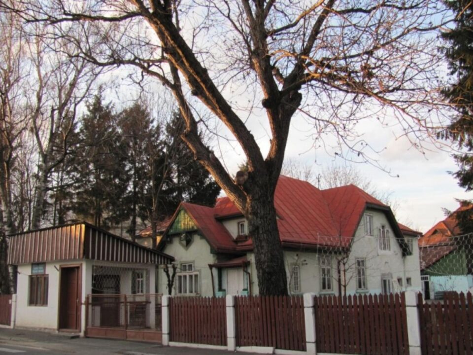 Căminul pentru persoane vârstnice Rădăuți foto www.batranifericiti.ro Căminul pentru persoane vârstnice Rădăuți foto www.batranifericiti.ro