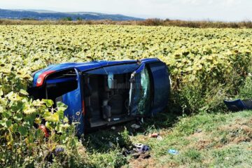 În masina condusa de tanarul din Rădăuți s-au găsit droguri