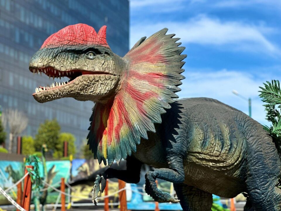 Expoziție de animale marine gigant și dinozauri animatronici, în parcarea Iulius Mall Suceava