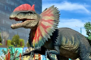 Expoziție de animale marine gigant și dinozauri animatronici, în parcarea Iulius Mall Suceava