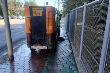 Trotuarele sunt spălate de dejecțiile de păsări