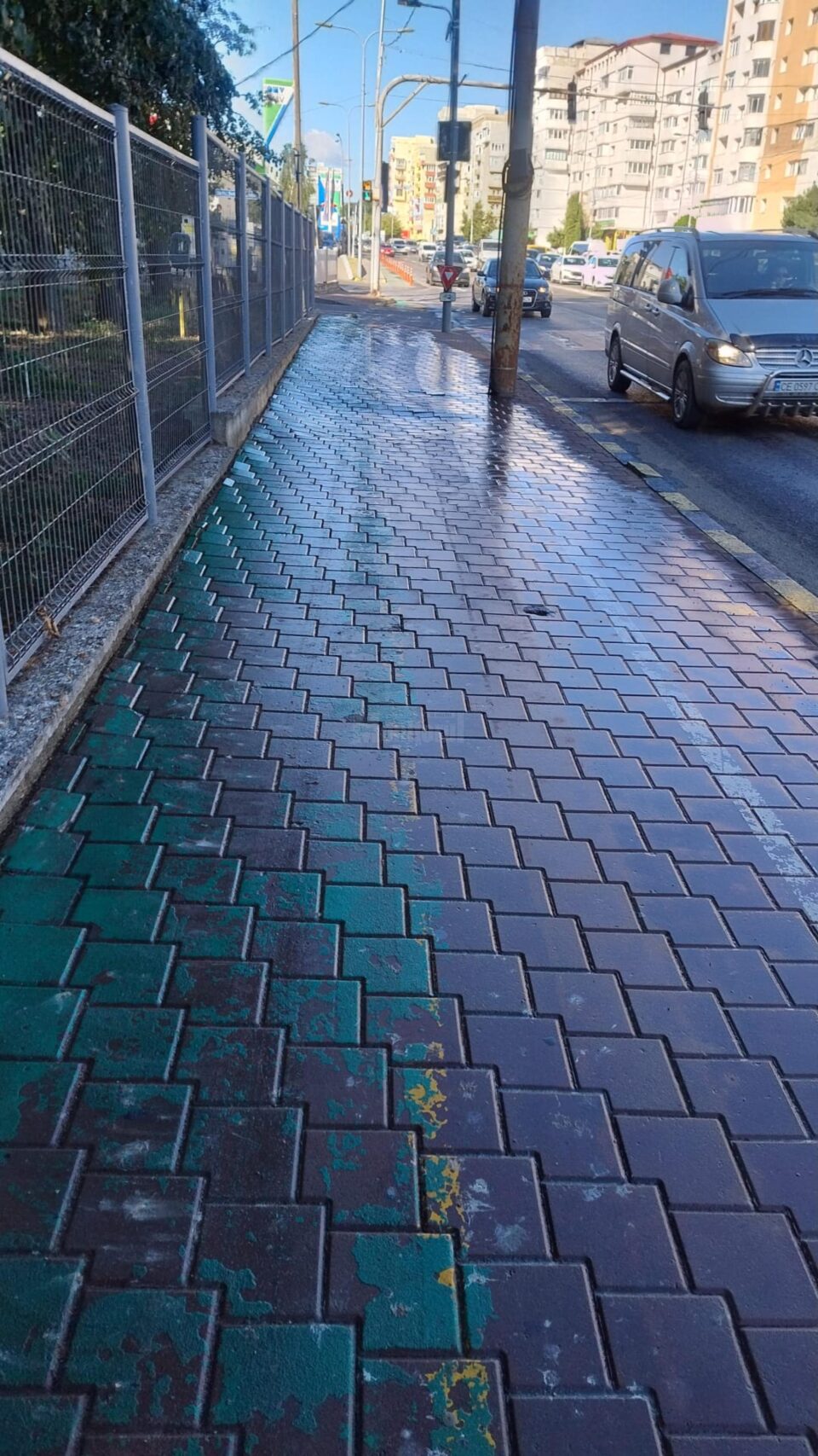 Pomii fructiferi de pe lângă trotuare vor fi înlocuiți cu copaci ornamentali
