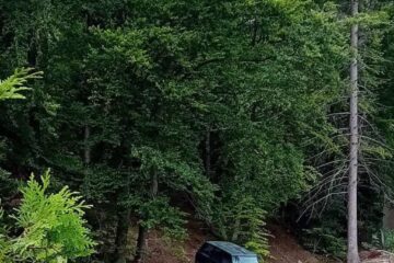 INCESTUL NAȚIONAL DUPĂ MODEL OCCIDENTAL ȘI MEREU ”DAR!”