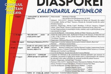 Școli de vară, ateliere de creație, dezbateri, spectacole în Luna Diasporei