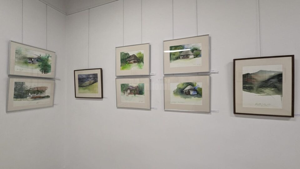 Expozitie