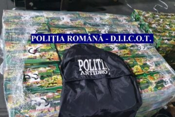 La percheziții s-au ridicat mai multe cantități de diferite tipuri de droguri