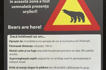 Panouri care avertizează despre prezența urșilor, montate pe traseele turistice din Parcul Național Călimani