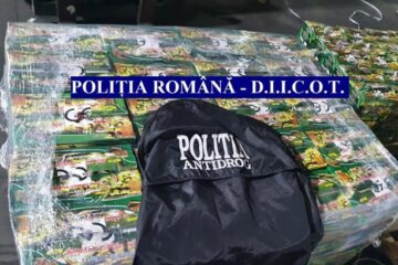 La percheziții s-au ridicat mai multe cantități de diferite tipuri de droguri