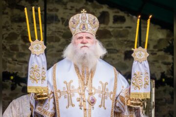„După credința voastră fie vouă!” – Predica Înaltpreasfințitului Părinte Calinic la Duminica a VII-a după Rusalii