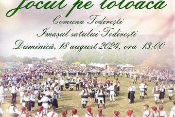 Consiliul Județean Suceava organizează o nouă ediție a evenimentului “Jocul pe toloacă”
