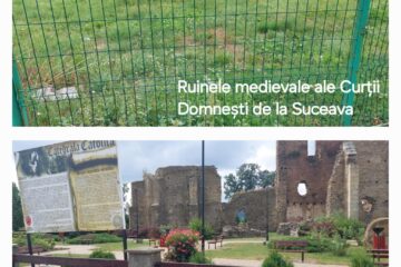 Bălării la ruinele Curții Domnești din centrul Sucevei, parc în jurul ruinelor primei episcopii catolice din Moldova, în comuna Baia